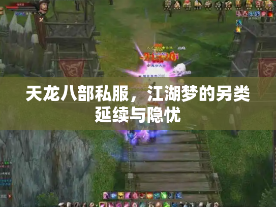 天龙八部私服，江湖梦的另类延续与隐忧
