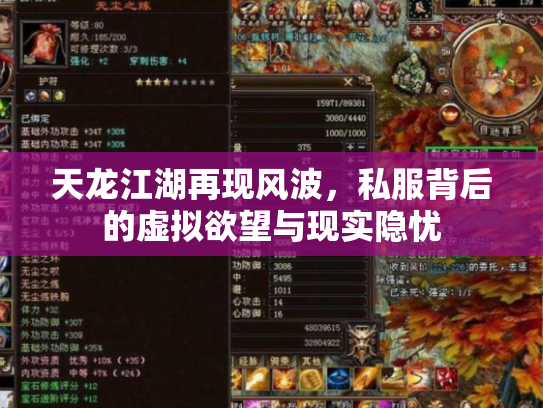 天龙江湖再现风波，私服背后的虚拟欲望与现实隐忧