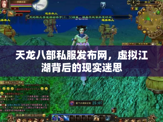 天龙八部私服发布网，虚拟江湖背后的现实迷思