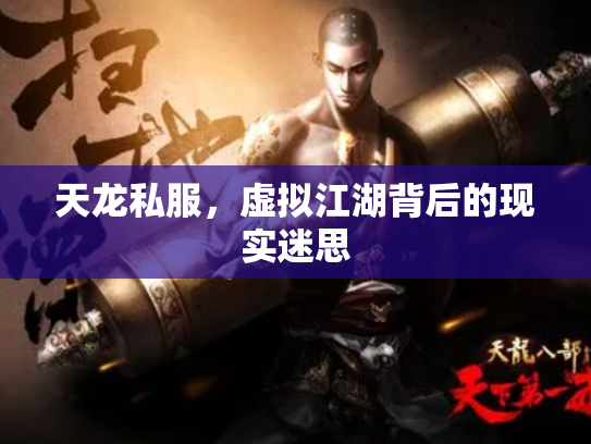 天龙私服，虚拟江湖背后的现实迷思