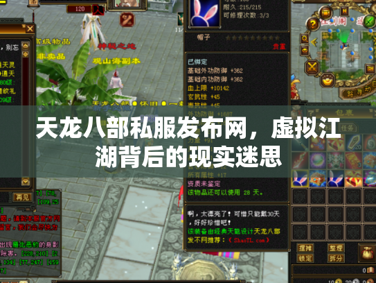 天龙八部私服发布网，虚拟江湖背后的现实迷思