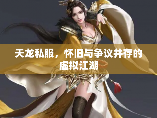 天龙私服，怀旧与争议并存的虚拟江湖