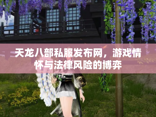 天龙八部私服发布网，游戏情怀与法律风险的博弈