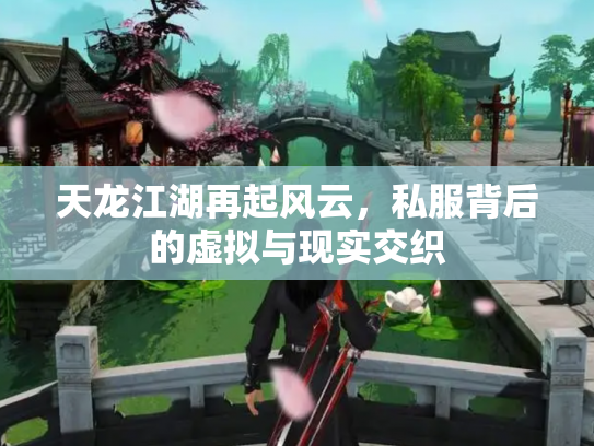 天龙江湖再起风云，私服背后的虚拟与现实交织
