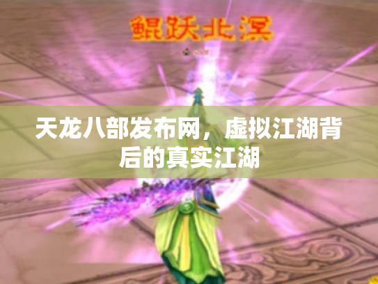 天龙八部发布网，虚拟江湖背后的真实江湖