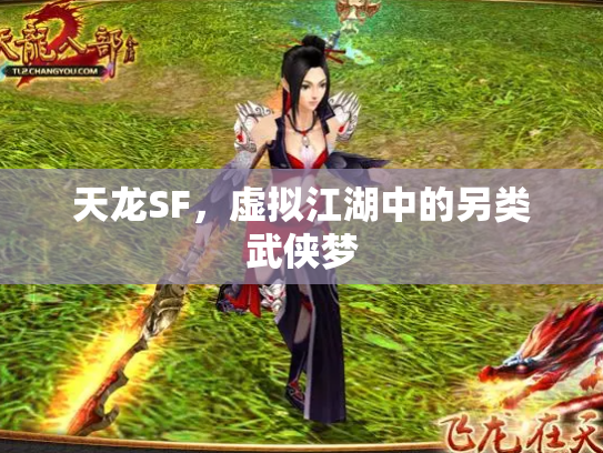 天龙SF，虚拟江湖中的另类武侠梦