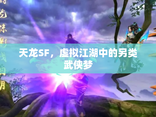 天龙SF，虚拟江湖中的另类武侠梦