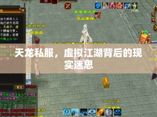 天龙私服，虚拟江湖背后的现实迷思