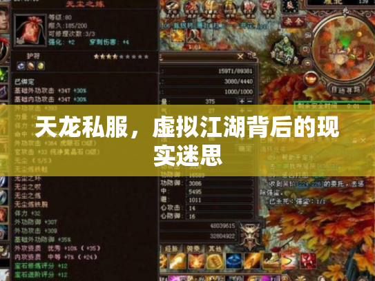 天龙私服，虚拟江湖背后的现实迷思