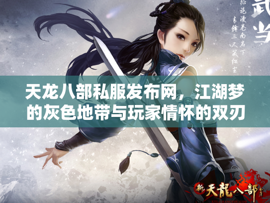 天龙八部私服发布网，江湖梦的灰色地带与玩家情怀的双刃剑