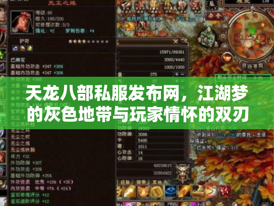 天龙八部私服发布网，江湖梦的灰色地带与玩家情怀的双刃剑