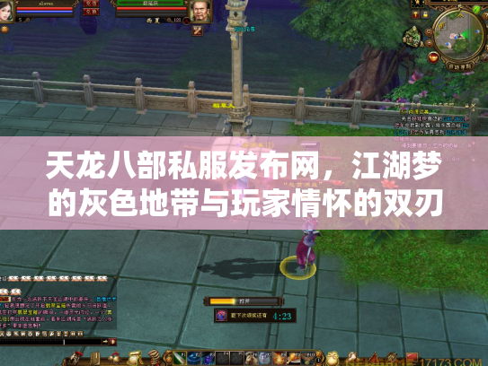 天龙八部私服发布网，江湖梦的灰色地带与玩家情怀的双刃剑