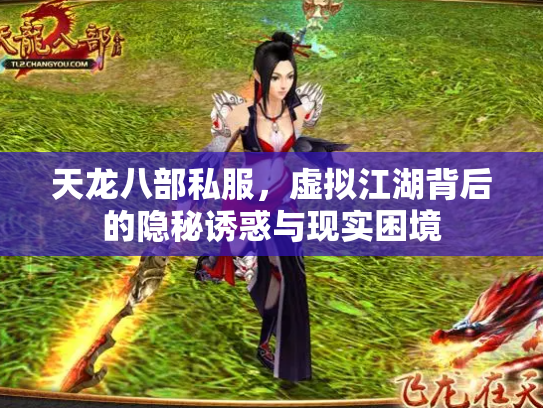 天龙八部私服，虚拟江湖背后的隐秘诱惑与现实困境