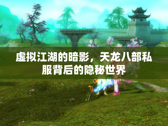 虚拟江湖的暗影，天龙八部私服背后的隐秘世界