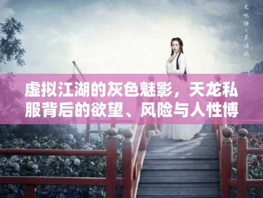 虚拟江湖的灰色魅影，天龙私服背后的欲望、风险与人性博弈