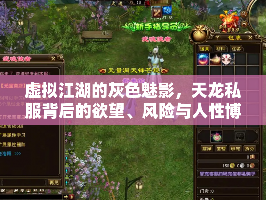 虚拟江湖的灰色魅影，天龙私服背后的欲望、风险与人性博弈