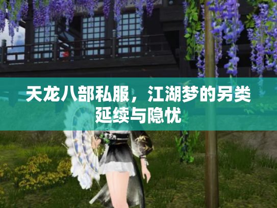 天龙八部私服，江湖梦的另类延续与隐忧
