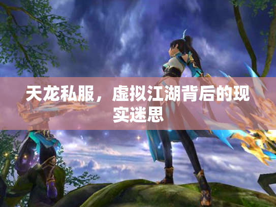 天龙私服，虚拟江湖背后的现实迷思