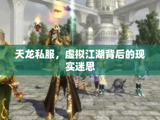 天龙私服，虚拟江湖背后的现实迷思