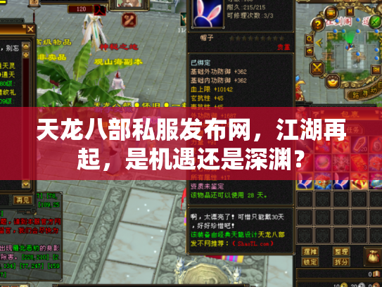 天龙八部私服发布网，江湖再起，是机遇还是深渊？