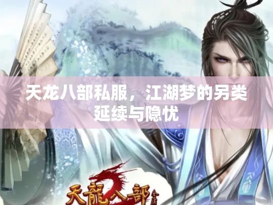 天龙八部私服，江湖梦的另类延续与隐忧