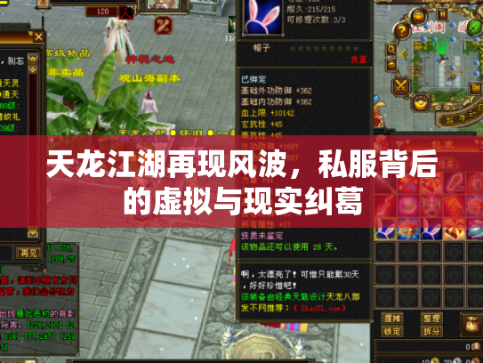 天龙江湖再现风波，私服背后的虚拟与现实纠葛