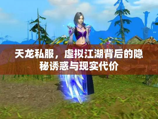 天龙私服，虚拟江湖背后的隐秘诱惑与现实代价
