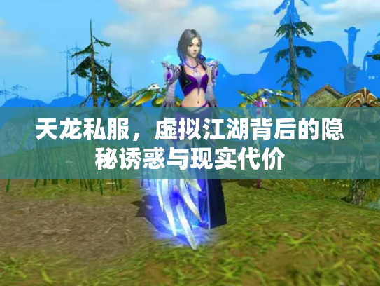 天龙私服，虚拟江湖背后的隐秘诱惑与现实代价