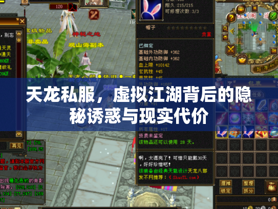天龙私服，虚拟江湖背后的隐秘诱惑与现实代价