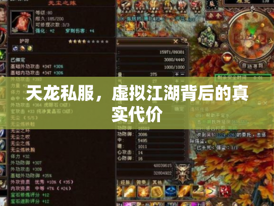 天龙私服，虚拟江湖背后的真实代价