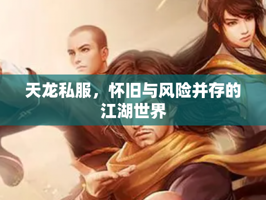 天龙私服，怀旧与风险并存的江湖世界