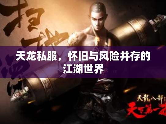 天龙私服，怀旧与风险并存的江湖世界