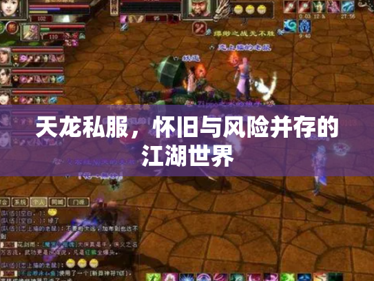 天龙私服，怀旧与风险并存的江湖世界