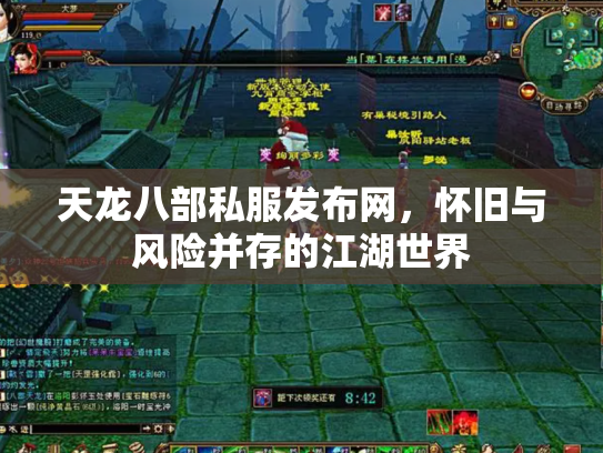 天龙八部私服发布网，怀旧与风险并存的江湖世界