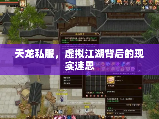 天龙私服，虚拟江湖背后的现实迷思
