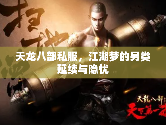天龙八部私服，江湖梦的另类延续与隐忧