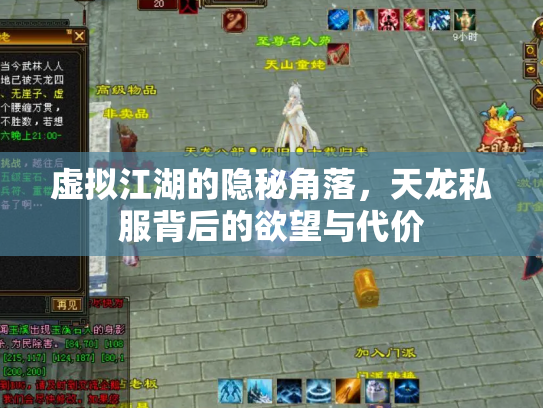 虚拟江湖的隐秘角落，天龙私服背后的欲望与代价