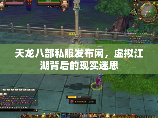天龙八部私服发布网，虚拟江湖背后的现实迷思