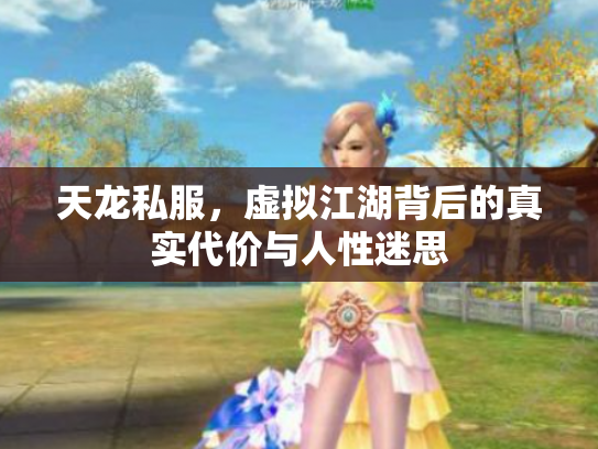 天龙私服，虚拟江湖背后的真实代价与人性迷思