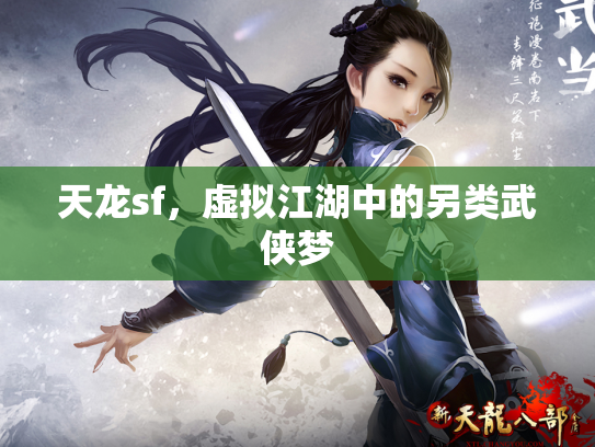 天龙sf，虚拟江湖中的另类武侠梦