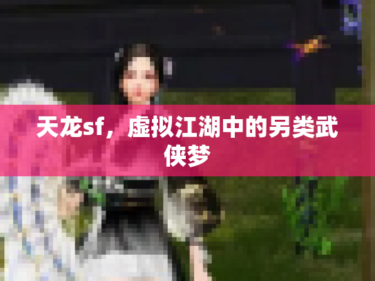 天龙sf，虚拟江湖中的另类武侠梦