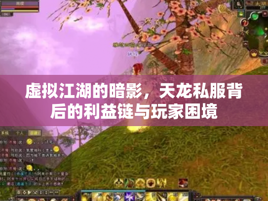虚拟江湖的暗影，天龙私服背后的利益链与玩家困境