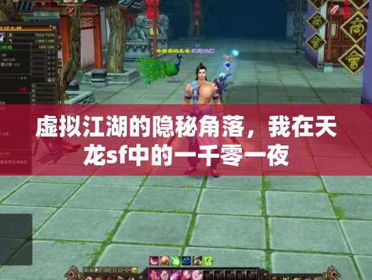 虚拟江湖的隐秘角落，我在天龙sf中的一千零一夜