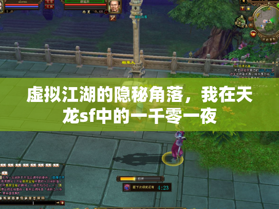 虚拟江湖的隐秘角落，我在天龙sf中的一千零一夜