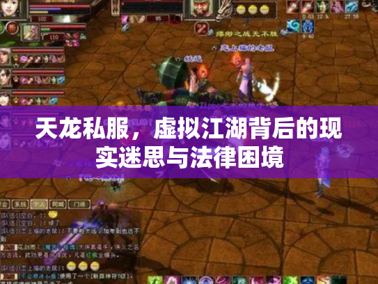天龙私服，虚拟江湖背后的现实迷思与法律困境