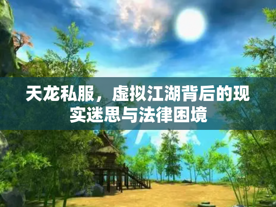 天龙私服，虚拟江湖背后的现实迷思与法律困境