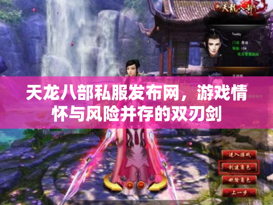 天龙八部私服发布网，游戏情怀与风险并存的双刃剑
