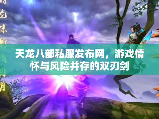 天龙八部私服发布网，游戏情怀与风险并存的双刃剑