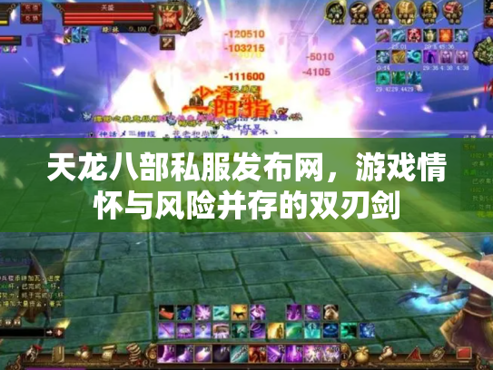 天龙八部私服发布网，游戏情怀与风险并存的双刃剑