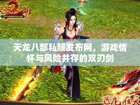 天龙八部私服发布网，游戏情怀与风险并存的双刃剑